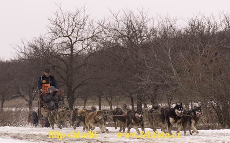 Hustopece 06 - 153.jpg